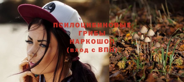 герыч Горнозаводск