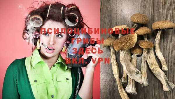 герыч Горнозаводск