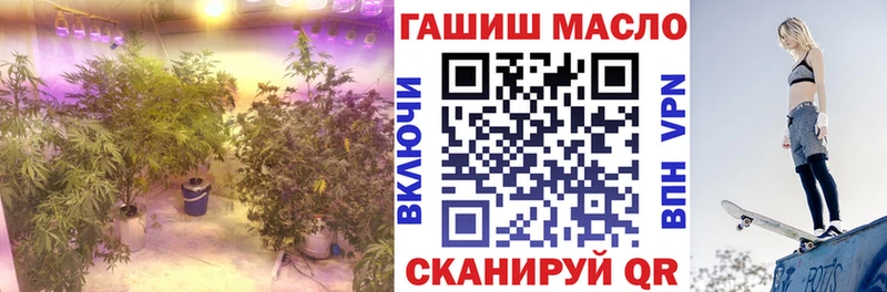 ТГК Wax хочу Дмитровск