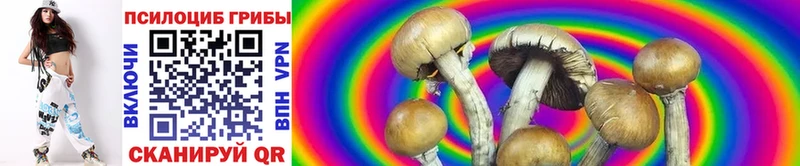 Галлюциногенные грибы Cubensis  мега   Дмитровск 